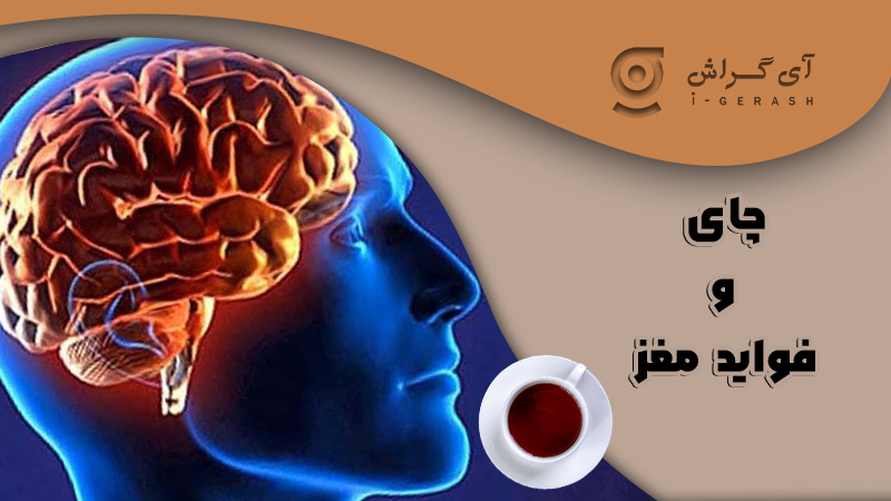 تاثیر چای بر مغز